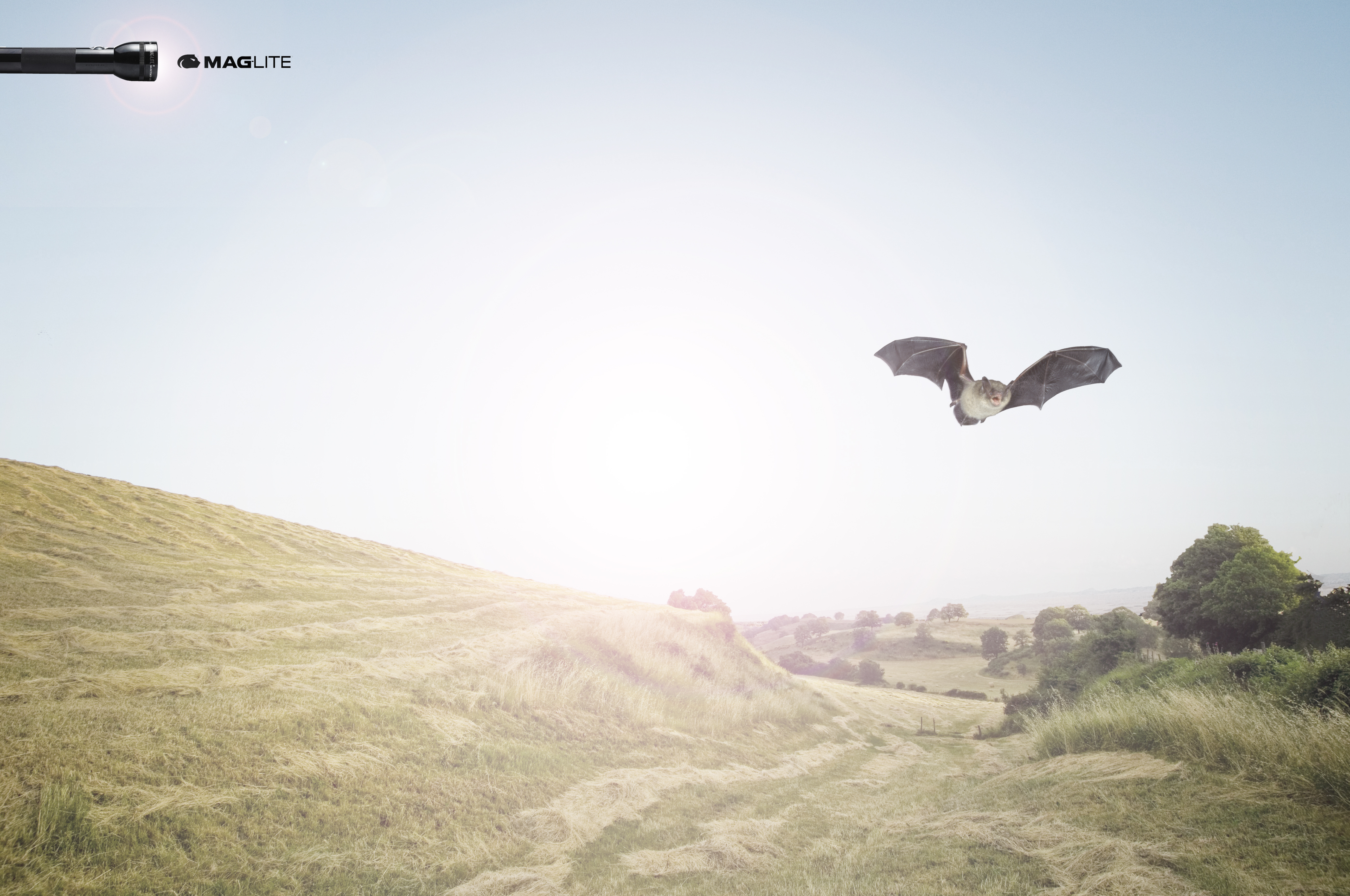 Hayfield and Hills Under Partly Cloudy Sky