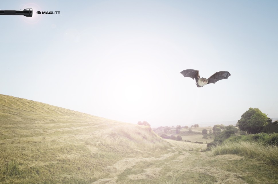 Hayfield and Hills Under Partly Cloudy Sky