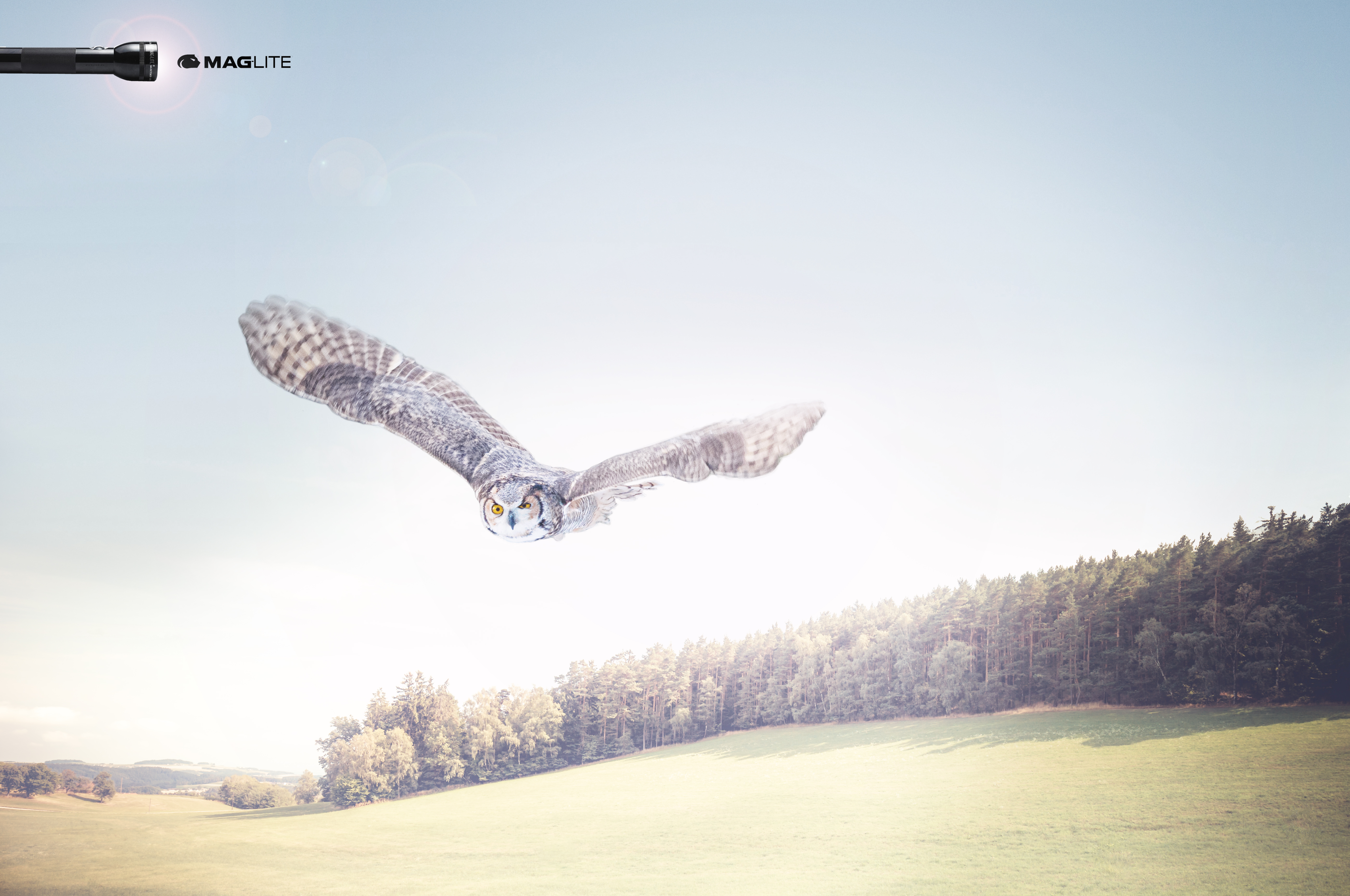 Hayfield and Hills Under Partly Cloudy Sky