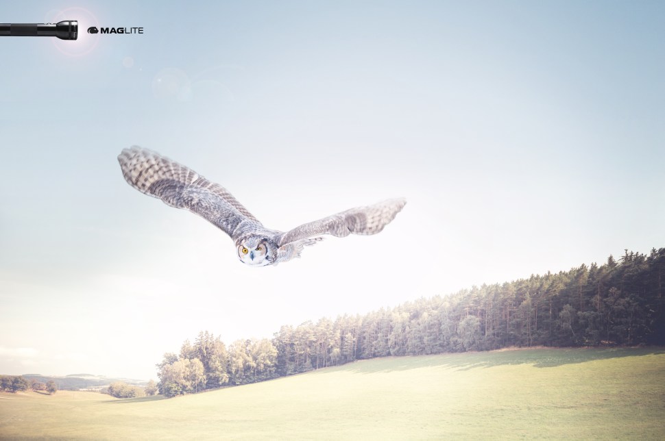 Hayfield and Hills Under Partly Cloudy Sky